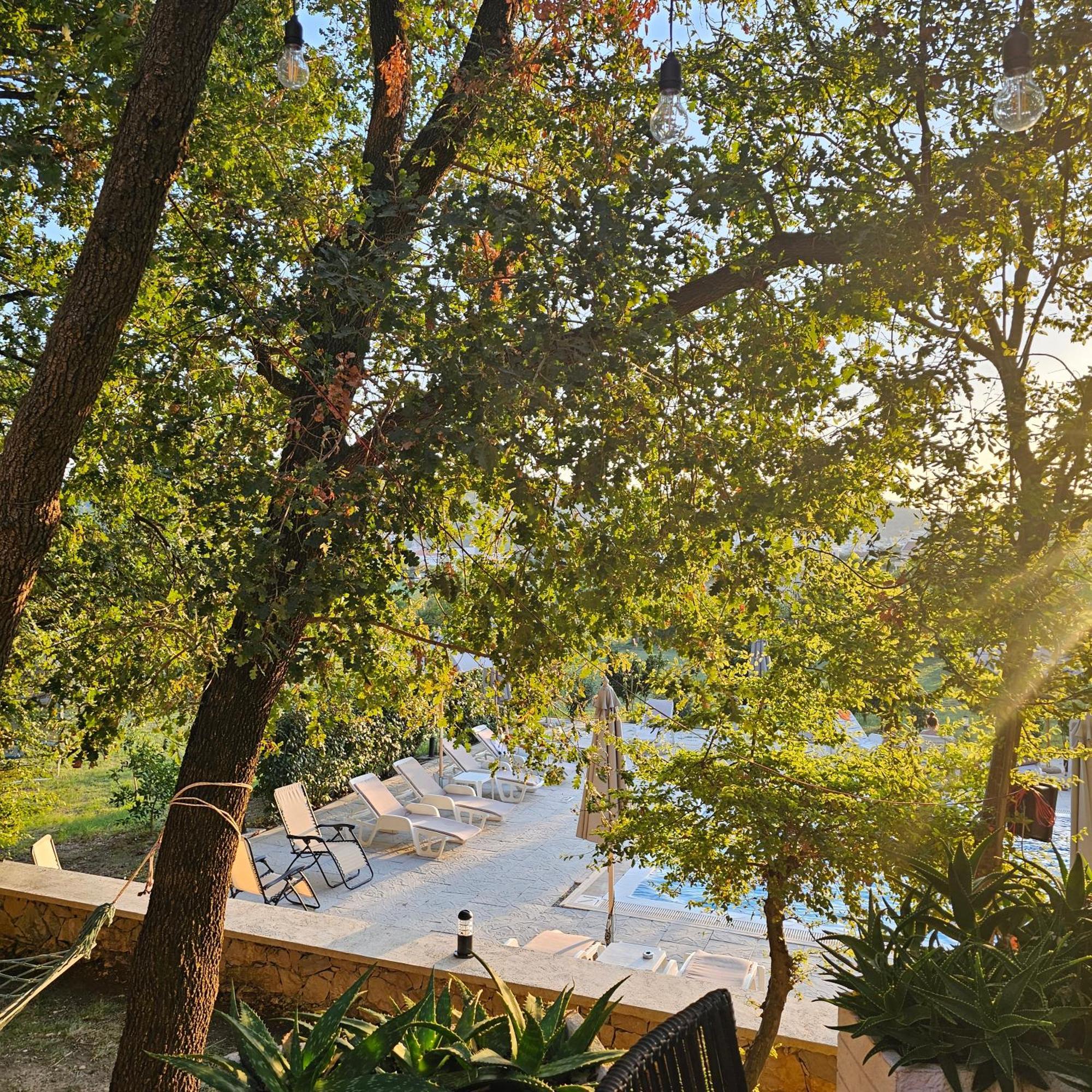Green Hill Apartments Ulcinj Exteriér fotografie
